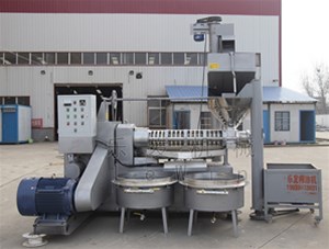 榨油機的具體工藝是怎樣的呢？